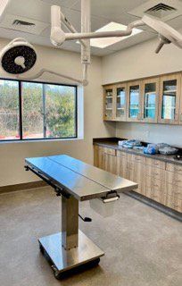 Surgery Table — Athens, TX — Veterinary Medical Center of Athens