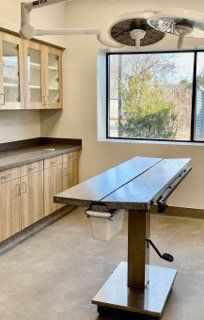 Veterinary Table — Athens, TX — Veterinary Medical Center of Athens