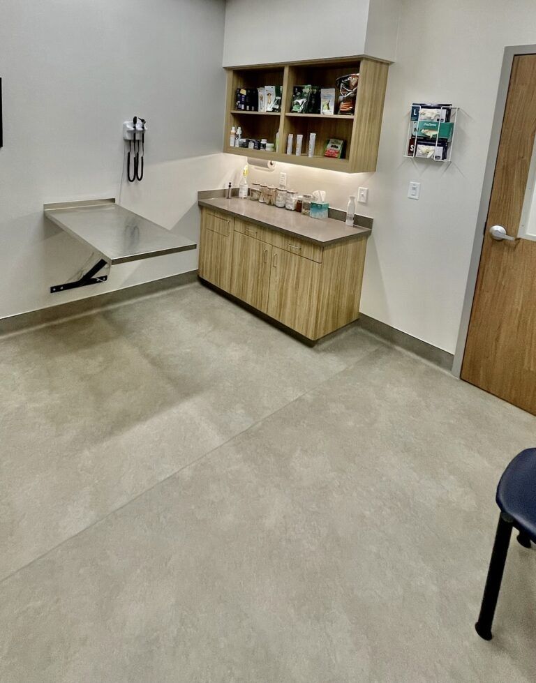Veterinary Table And Equipments — Athens, TX — Veterinary Medical Center of Athens