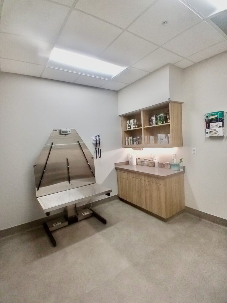 Check Up Area — Athens, TX — Veterinary Medical Center of Athens