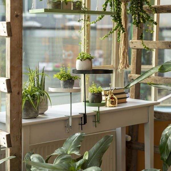 window dressing esschert design Etar na kvety WINDOW DRESSING, rozpern, 210-301cm|Esschert Design - driaky, stolky, koe aj zvesy na kvetine