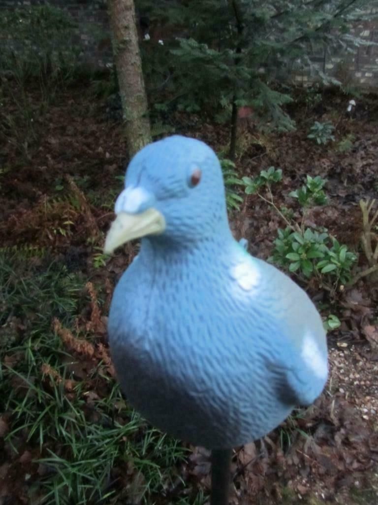 DUIFJE