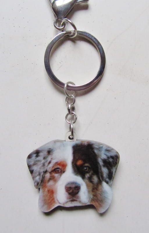 DIEREN (SLEUTEL) DECORATIE HANGER (50)