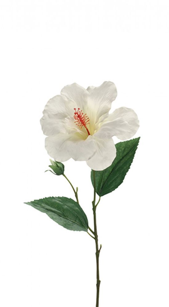 HIBISCUS TAK - KUNST - WIT