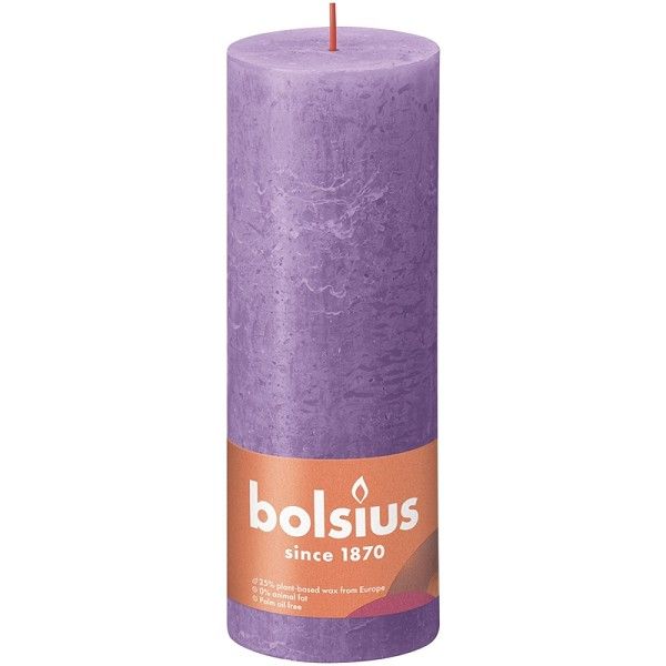 BOLSIUS KAARS (6)