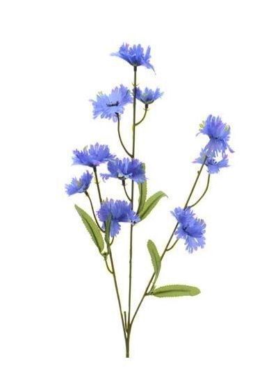 KORENBLOEM - KUNST