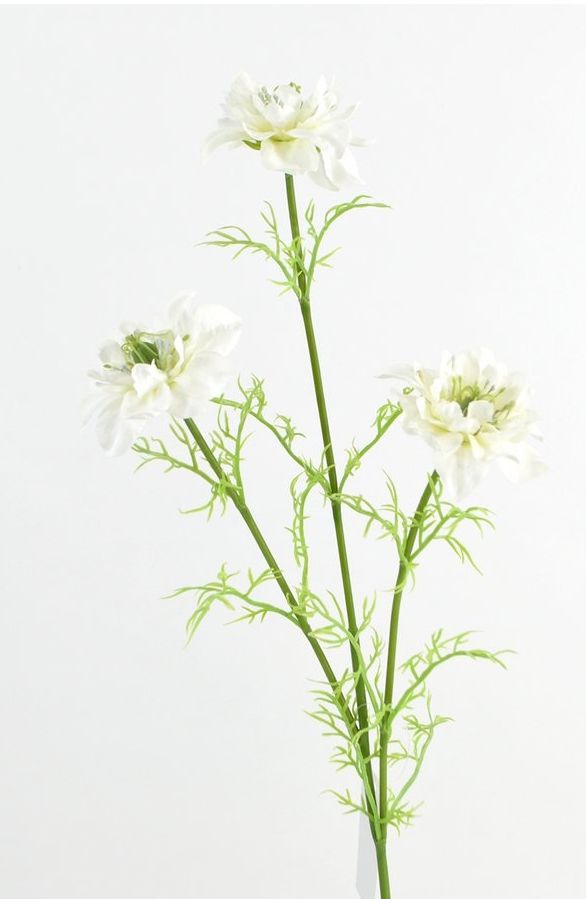 NIGELLA - JUFFERTJE IN HET GROEN - KUNST - WIT
