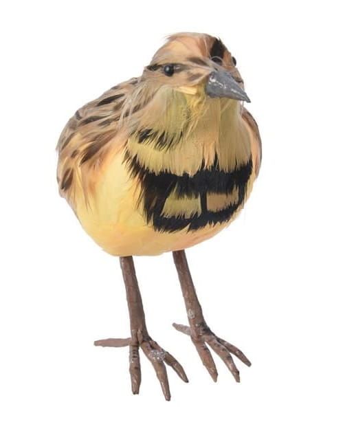 PRACHTIG VOGELTJE
