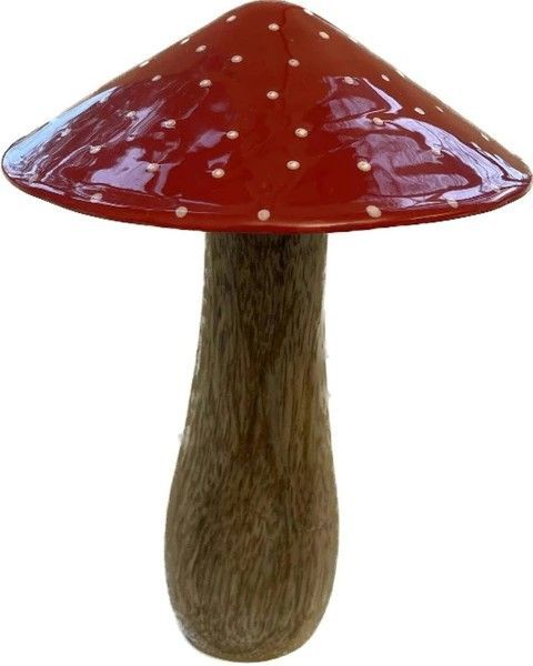 PRACHTIGE HOUTEN PADDENSTOEL