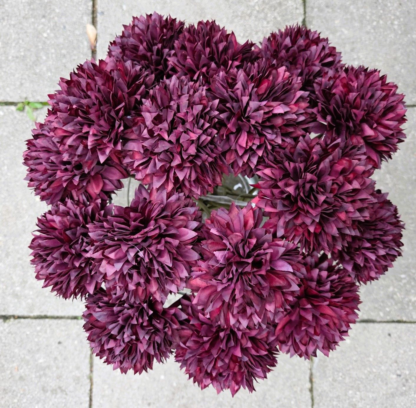 CLAYRE & EEF - BOL CHRYSANT