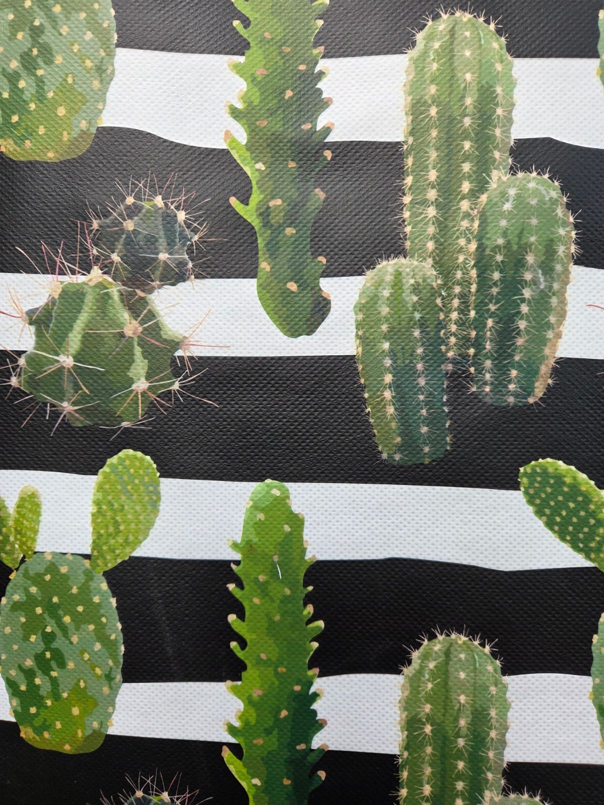 SHOPPER - CACTUS