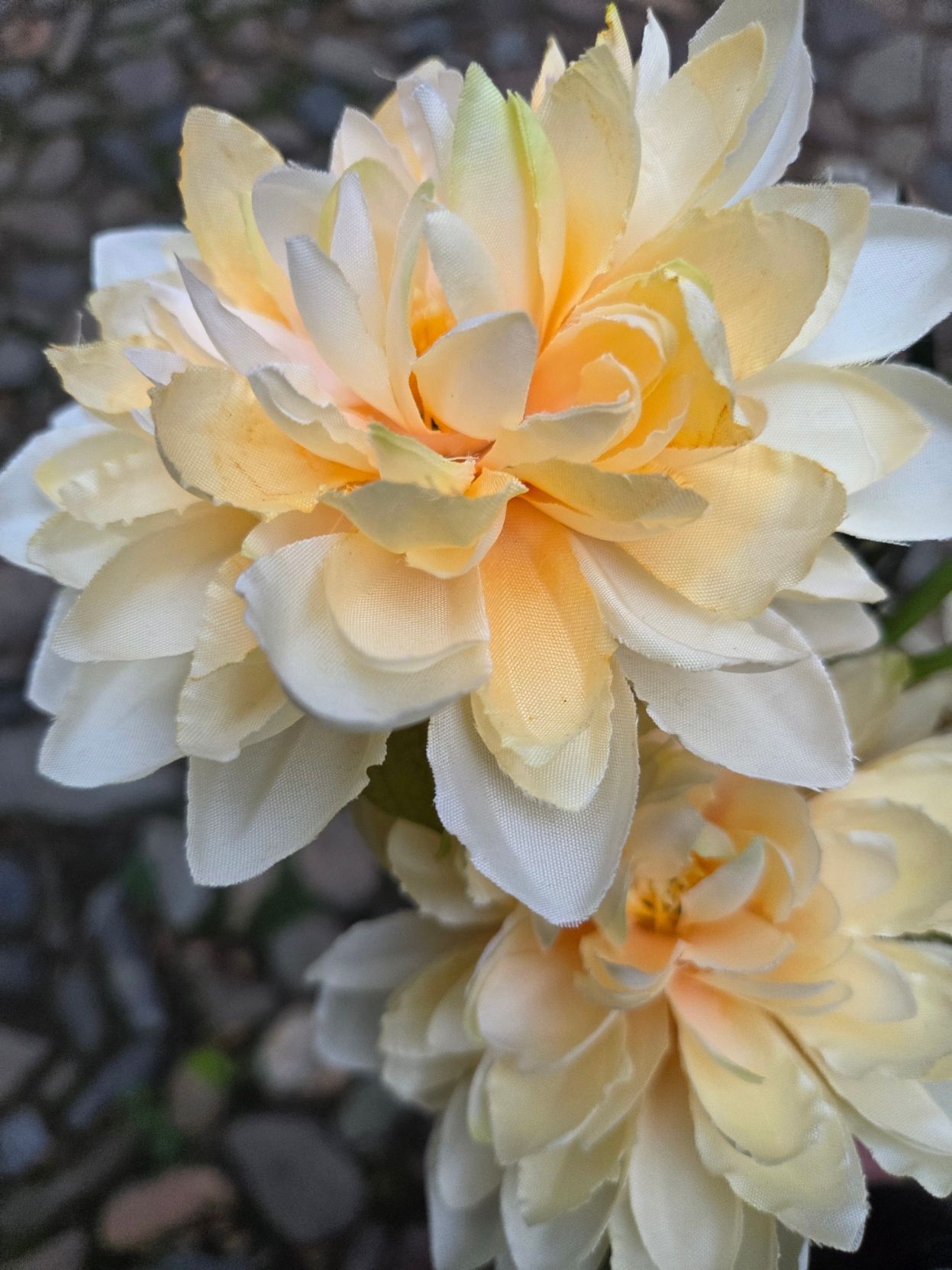 DAHLIA - KUNST - 6 BLOEMEN - ZACHT GEEL