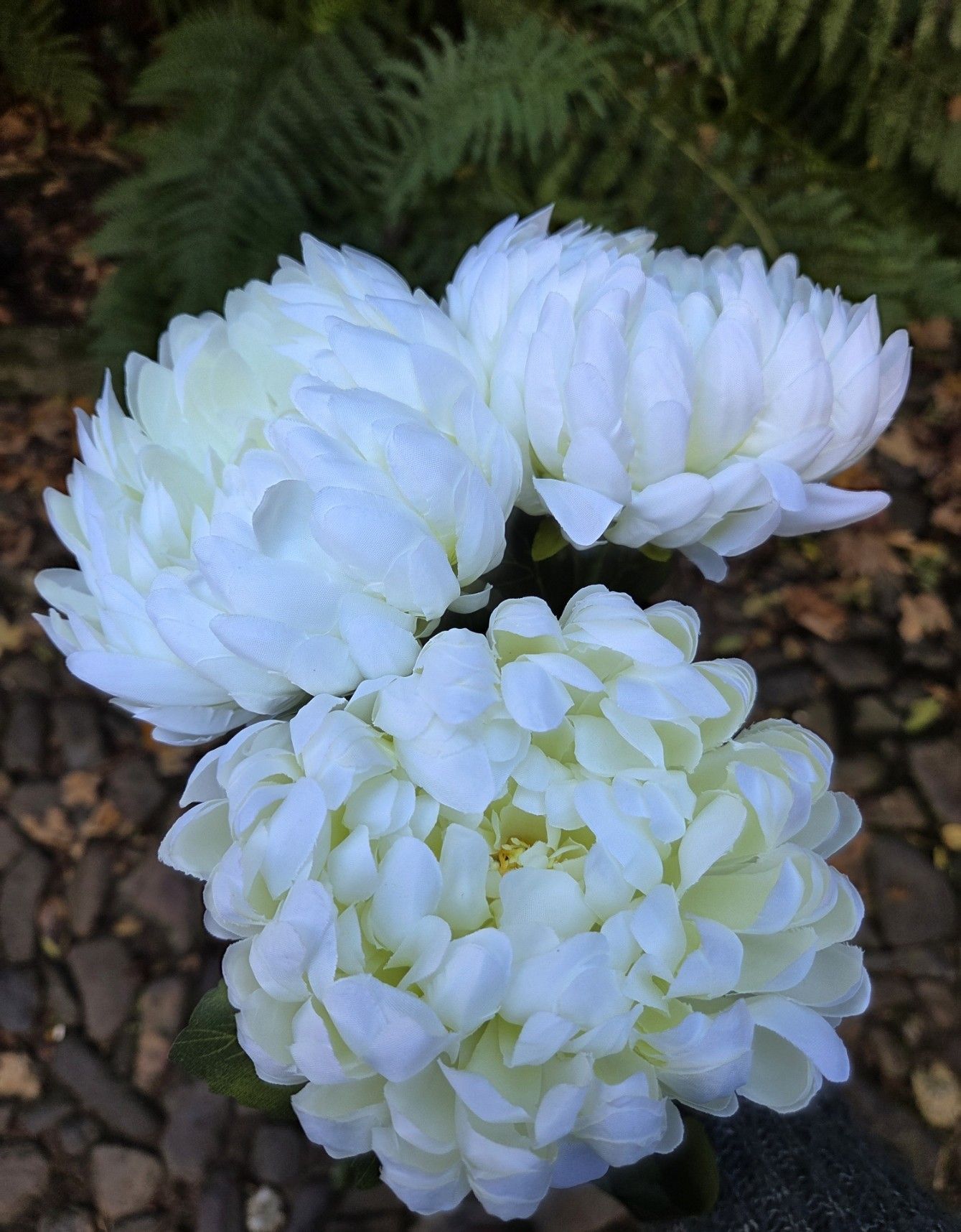 CHRYSANT - KUNST - WIT