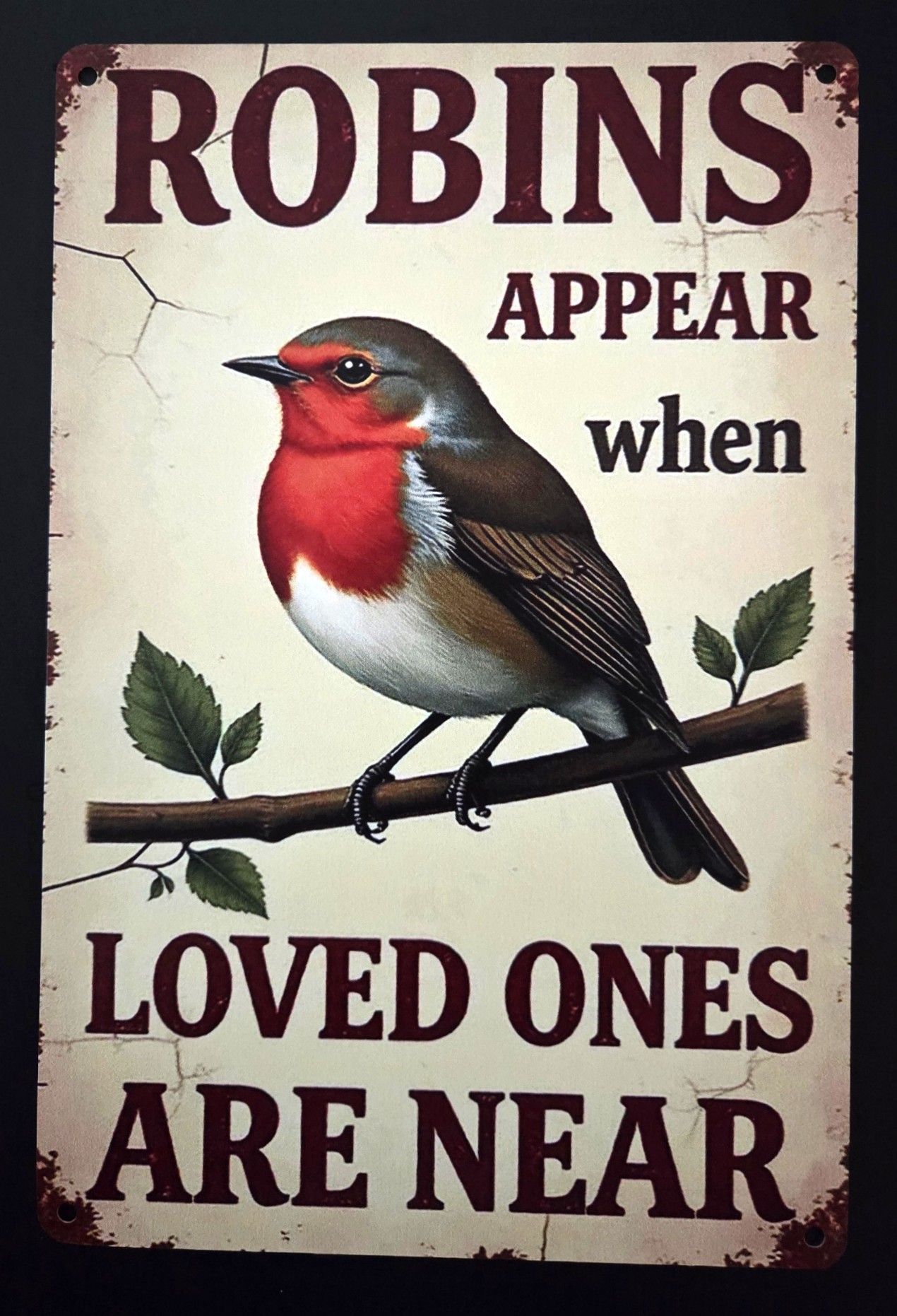 ROBINS APPEAR WHEN LOVED ONES ARE NEAR....METALEN WANDBORD