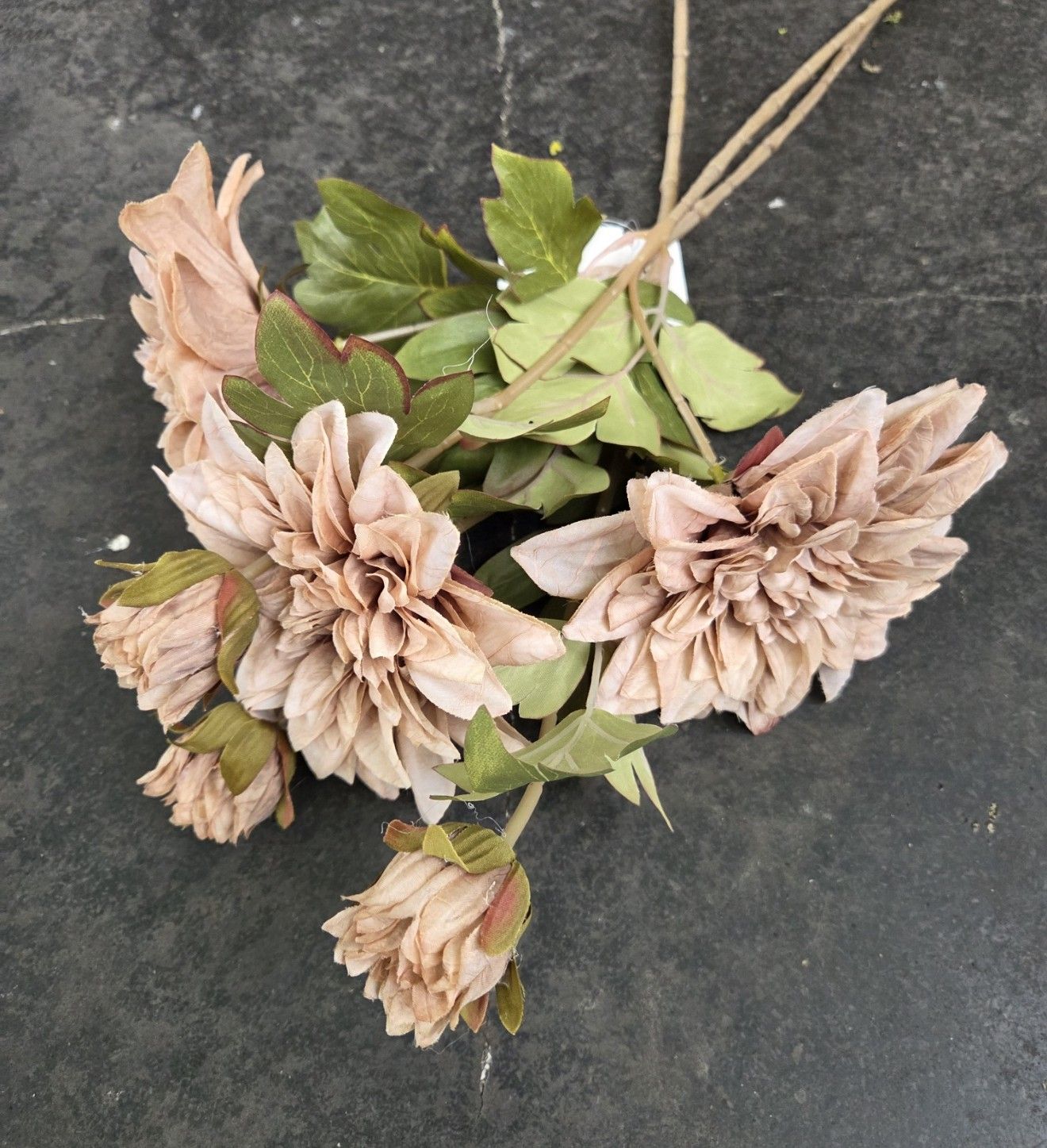 DAHLIA - KUNST - BLOEM & KNOP - LATTE