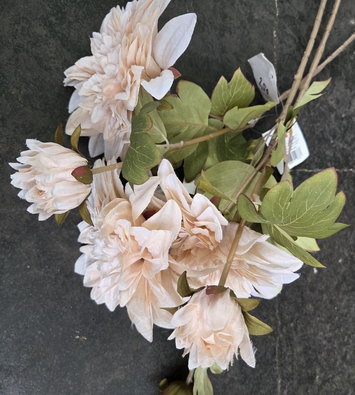 DAHLIA - KUNST - BLOEM & KNOP  - ROOMWIT