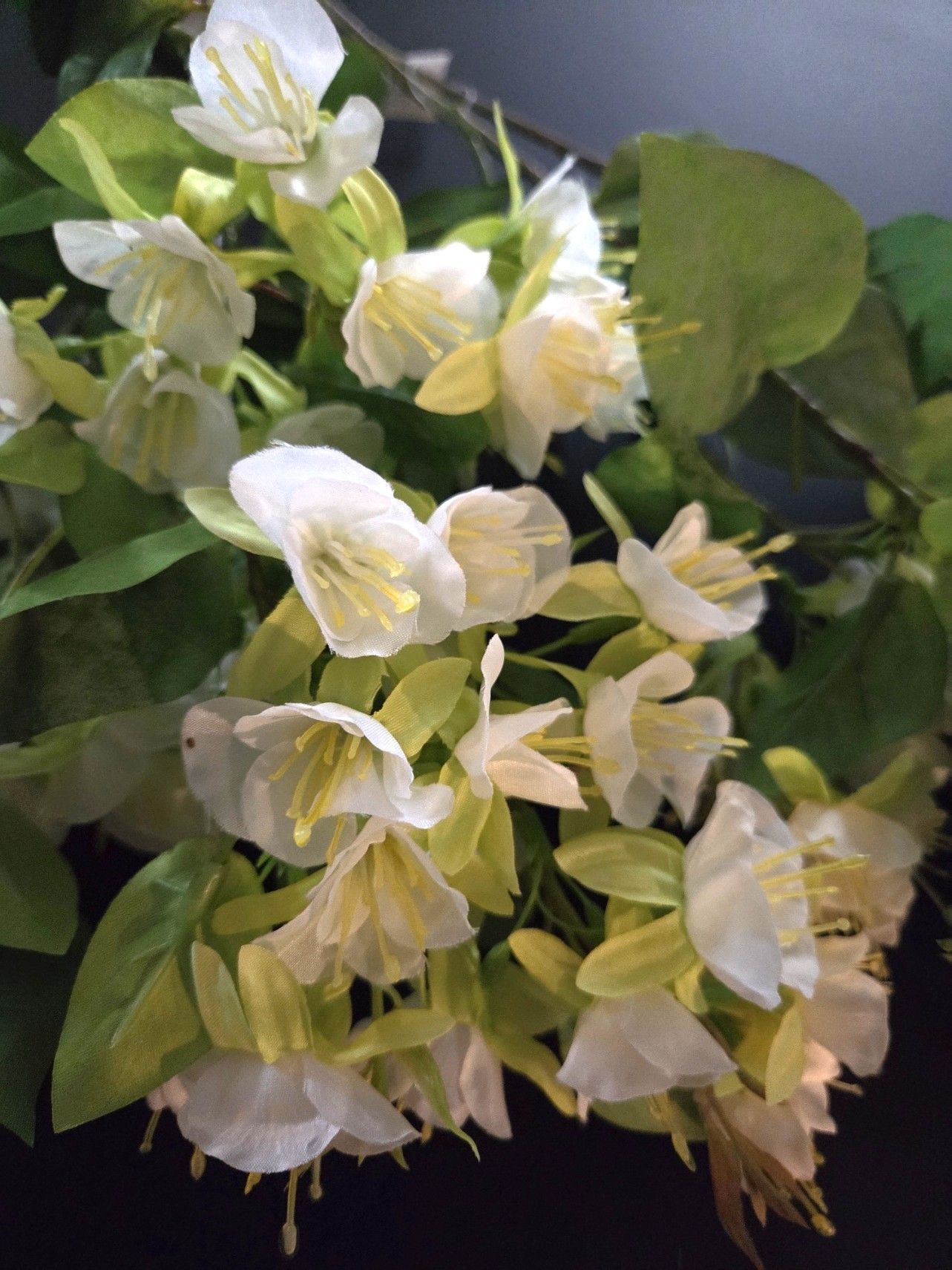 OPRUIMING - BLOEMEN TAK - KUNST - WIT - NU 4 EURO