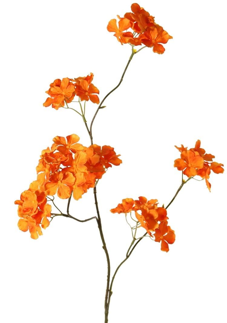 OPRUIMING - HORTENSIA TAK - TOP ART - VAN 9 EURO NU 5 EURO (1)