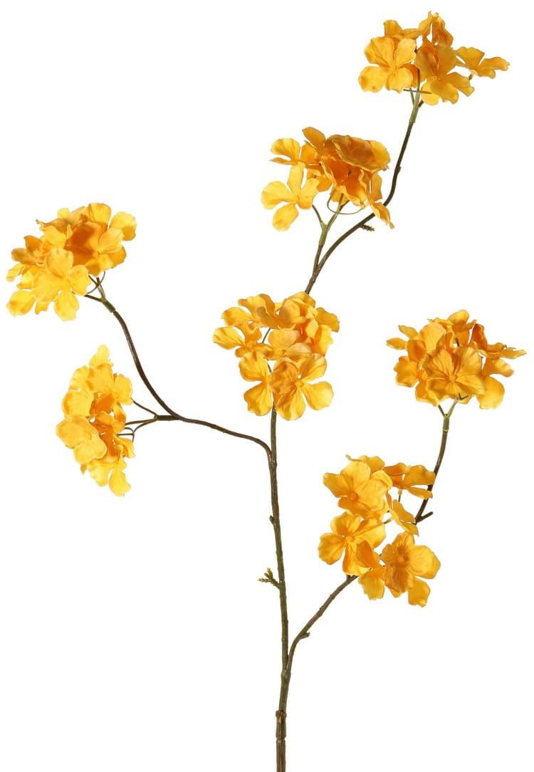 OPRUIMING - HORTENSIA TAK - TOP ART - VAN 9 EURO NU 5 EURO (2)