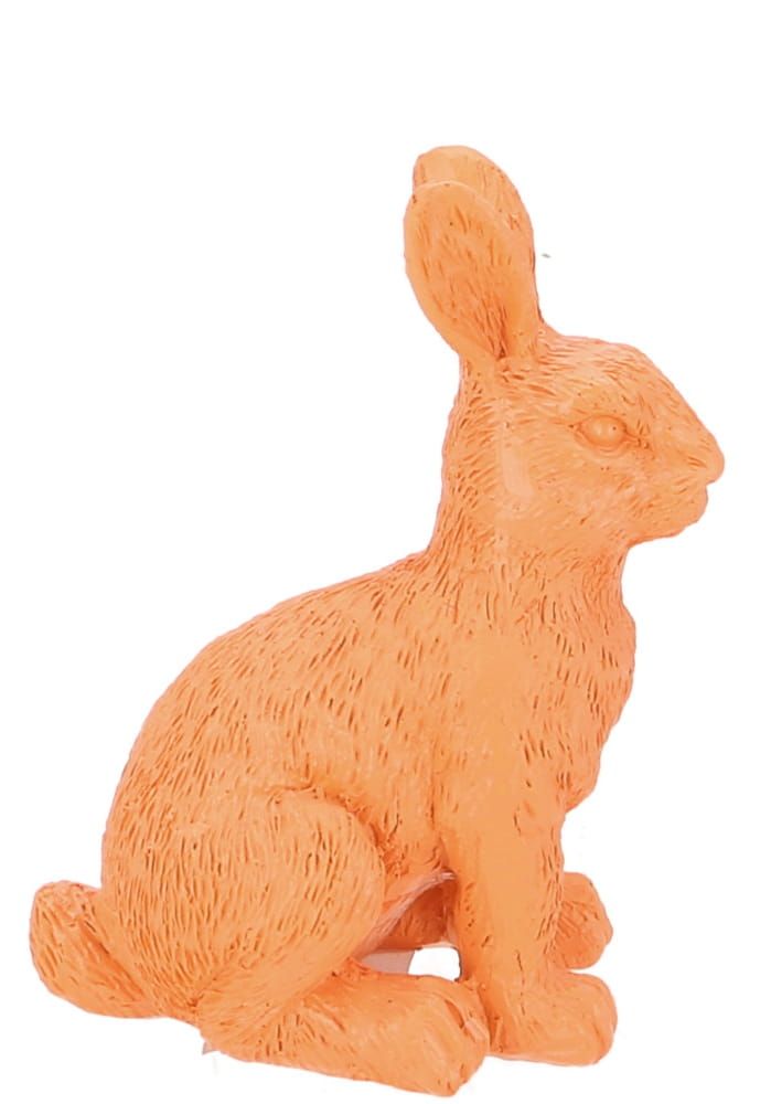 KONIJNTJES ORANJE