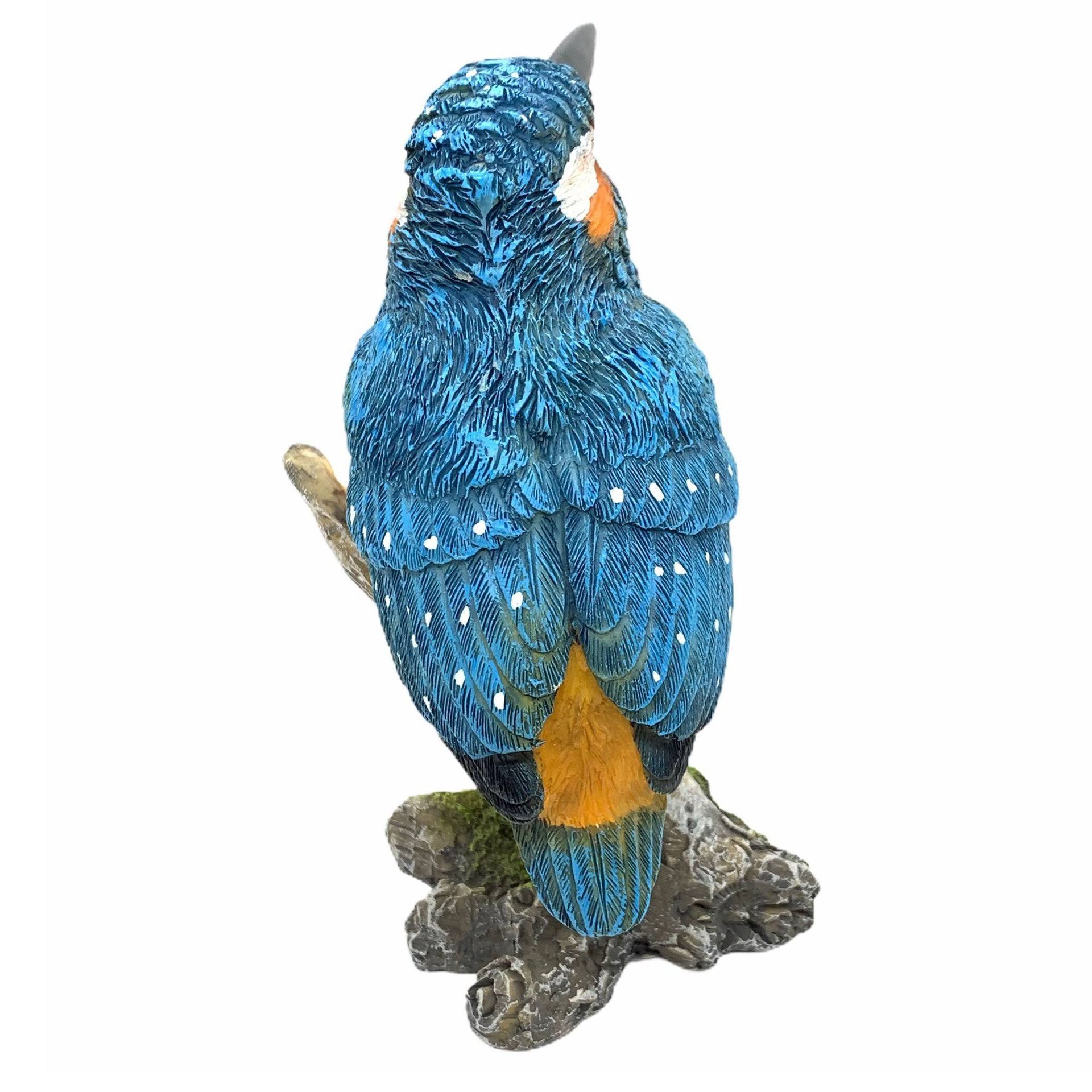 IJSVOGELTJE - THE BEAUTY ...