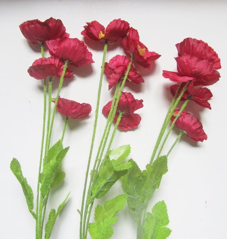 KLAPROZEN - ROOD