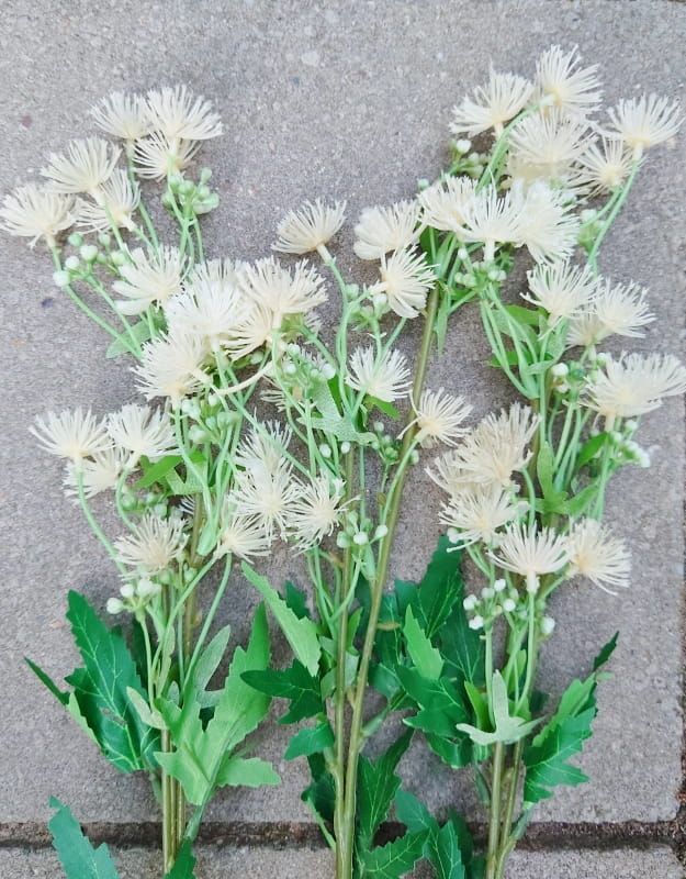 BLOEMEN KUNST TAKKEN