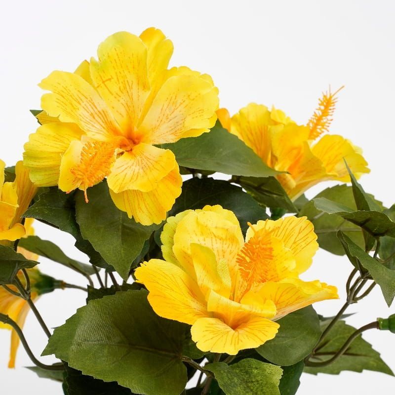 HIBISCUS - KUNST - MICA