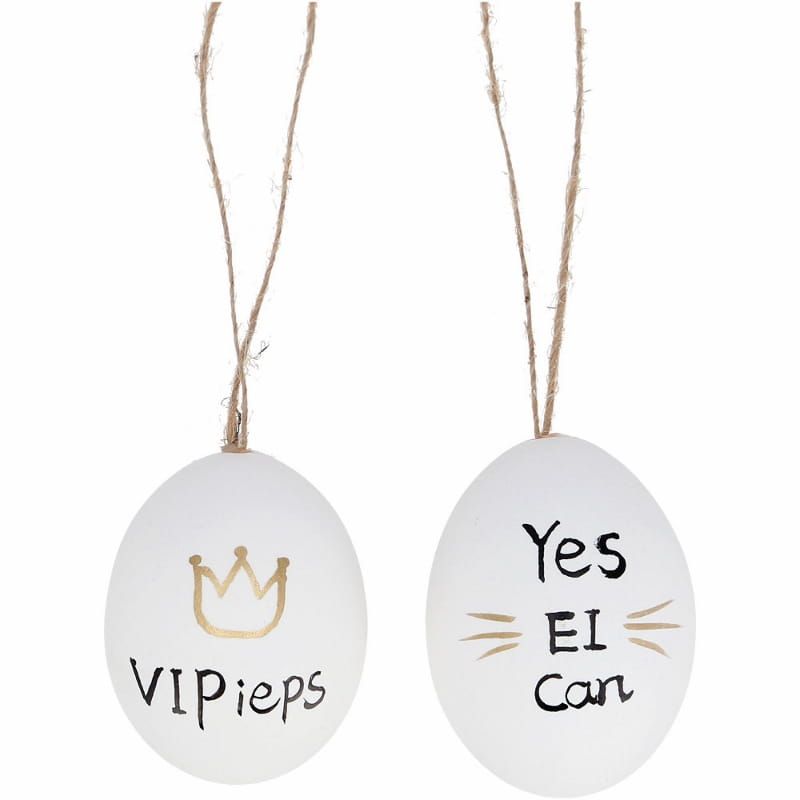 EITJES - YES EI CAN