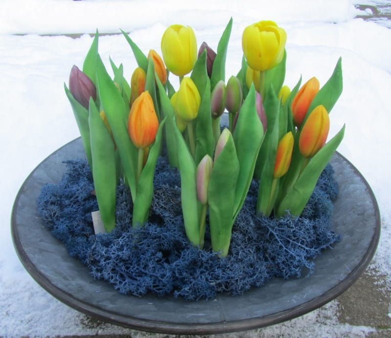 REAL TOUCH - TULP IN POTJE - ORANJE