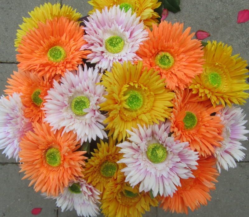 OPRUIMING - ASTERS - KUNST - ORANJE - NU 1 EURO