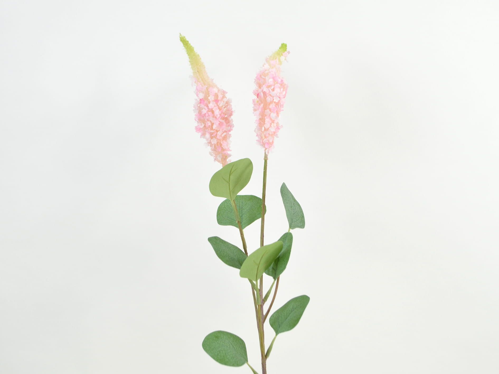 SETARIA KUNST BLOEMEN TAK (1)