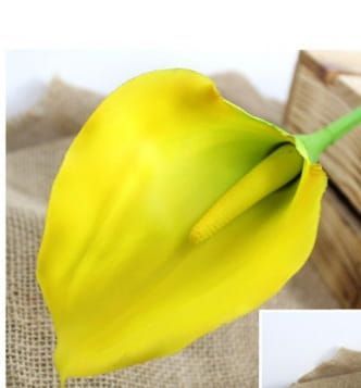 CALLA KUNST BLOEM