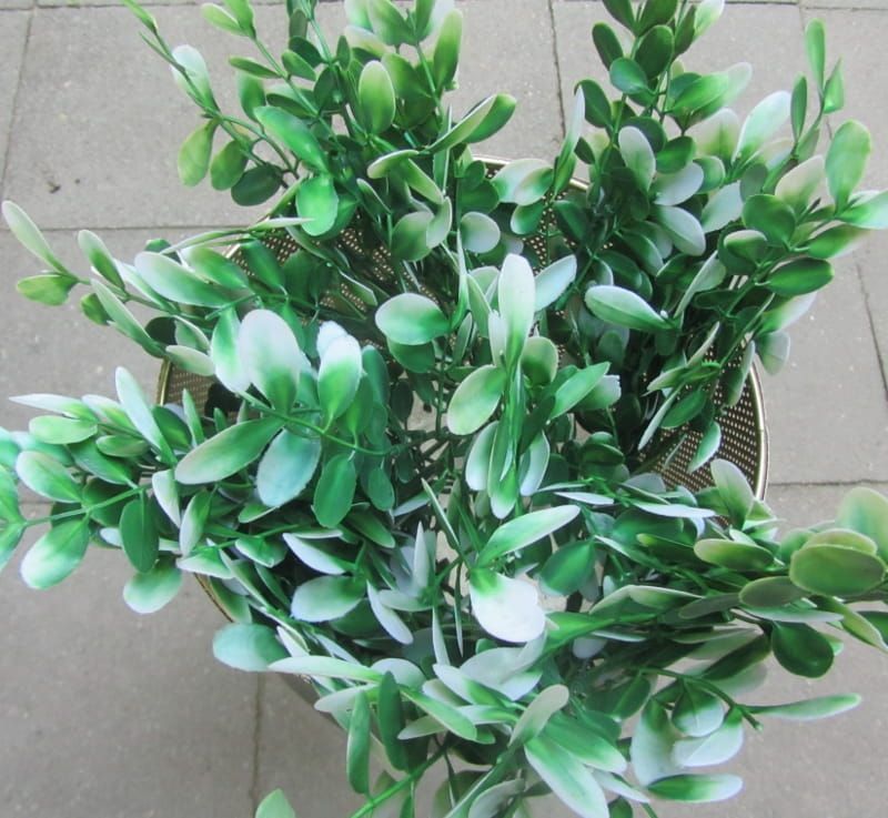 BOSJE EUCALYPTUS KUNST TAKJES