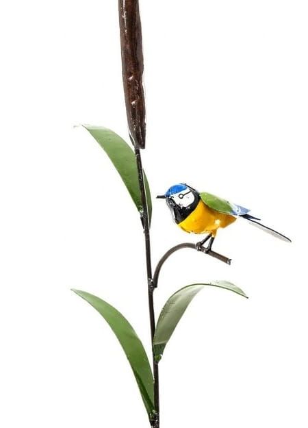 PIMPELMEES OP RIET - STREETART - FAIRTRADE