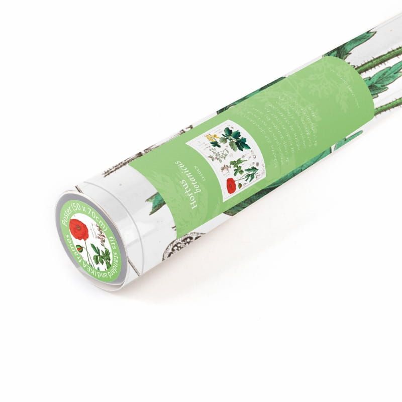 OPRUIMING - NATUUR AFBEELDINGEN - HORTUS BOTANICUS - NU 5 EURO