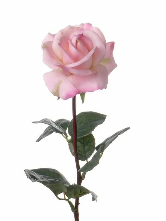PRACHTIGE ROZE REAL TOUCH ROOS