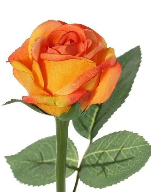 TOPART - ROOSJE ORANJE (1)