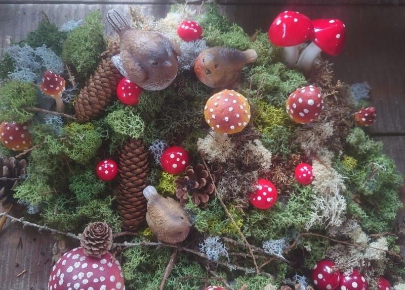 PADDENSTOELTJES (1)
