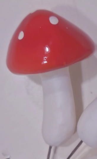 PADDENSTOELTJES (1)