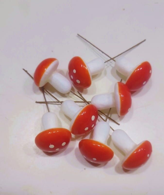 PADDENSTOELTJES (3)