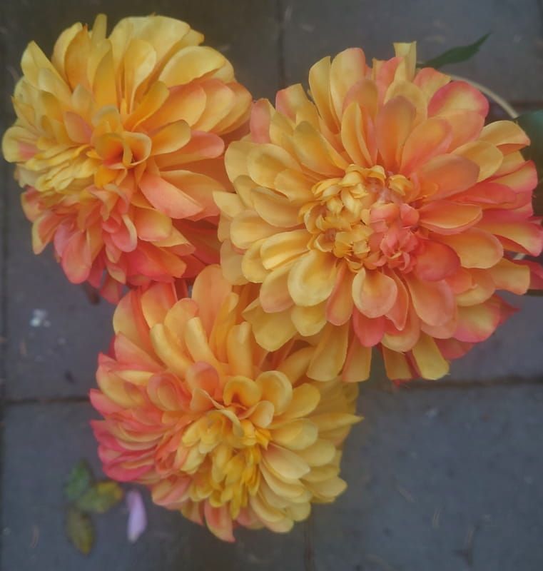 DAHLIA KUNST - CLAYRE & EEF - GEEL ORANJE