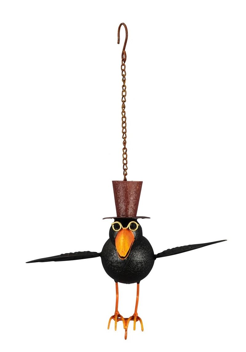 GRAPPIGE HANGVOGEL RAAF VOOR VOGEL VOER