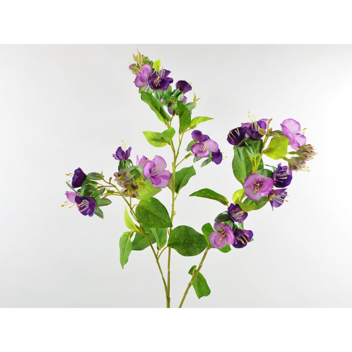 BLOEMEN TAK - KUNST - PAARS