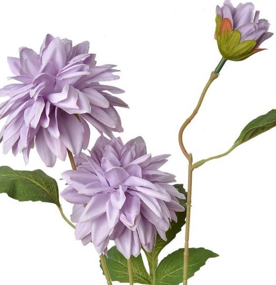 DAHLIA KUNST CLAYRE & EEF - LILA