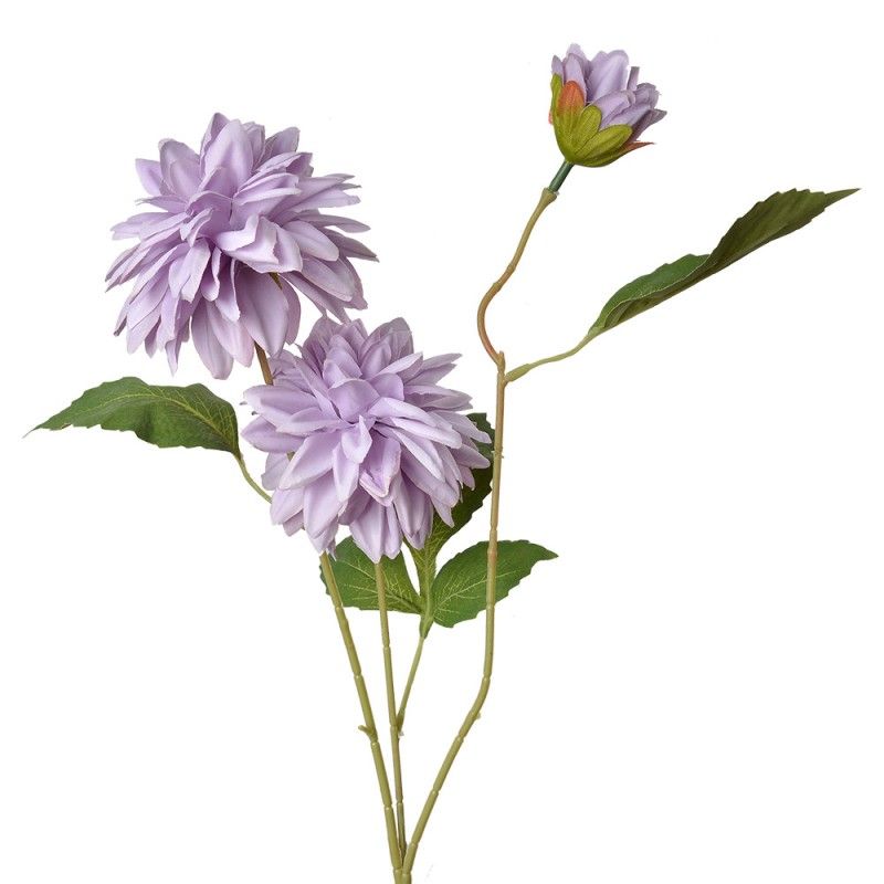 DAHLIA KUNST CLAYRE & EEF - LILA
