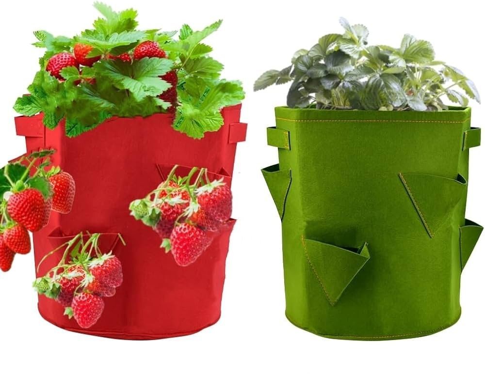 AARDBEIEN PLANTZAK - ROOD