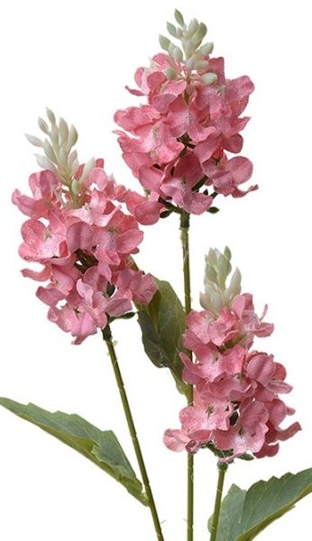 VIOLIER KUNST BLOEMEN TAK - CLAYRE & EEF