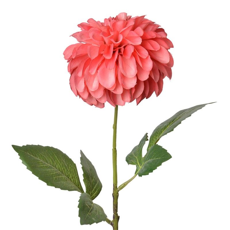 DAHLIA - KUNST - ROZE - CLAYRE & EEF
