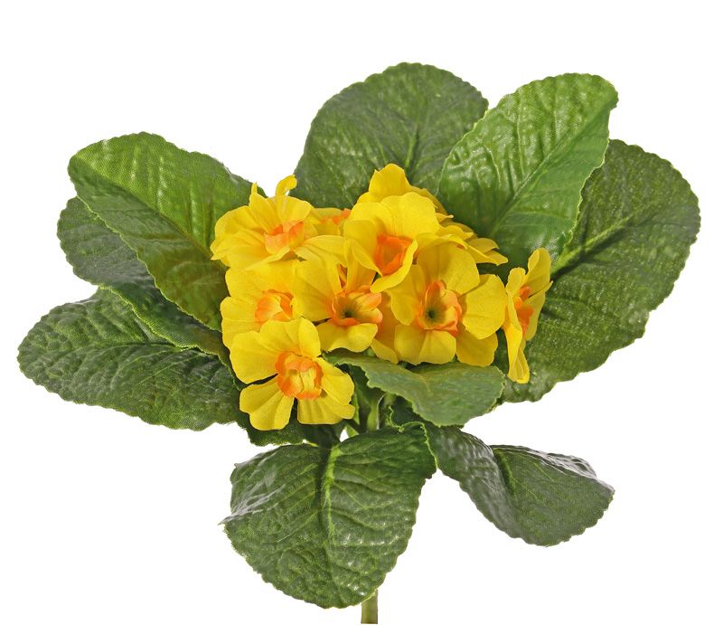 SLEUTELBLOEM KUNST (PRIMULA) DIVERSE KLEUREN - TOP ART (1)